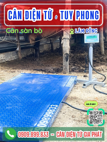 Cân điện tử ở xã Tuy Phong Lâm Đồng